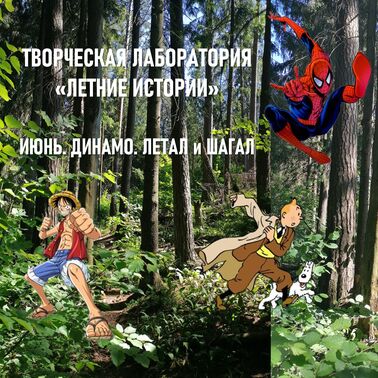 ЛЕТНИЕ ИСТОРИИ